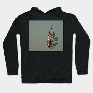 Pair of Galahs Hoodie